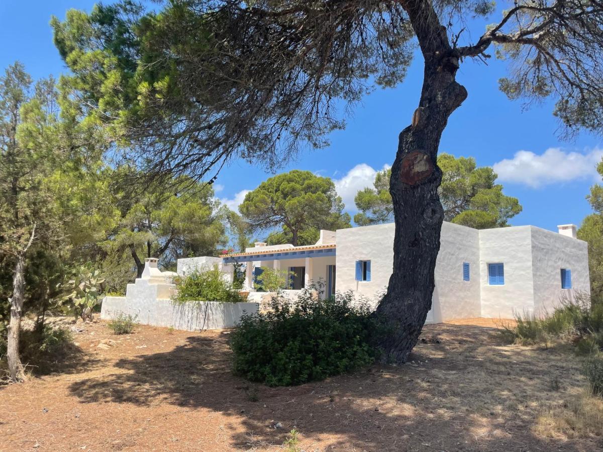 Вилла Sa Tanca Des Pla San Francisco Javier Экстерьер фото